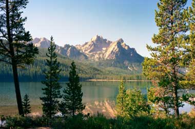 Speak Up for the Conservation of U.S. National Forests Image